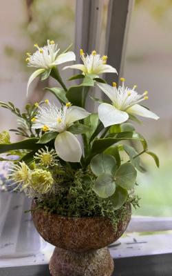 面包花艺术盆栽一日班